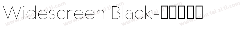 Widescreen Black字体转换